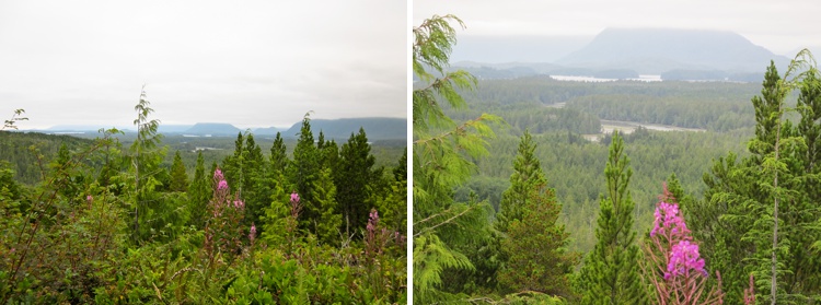 Radar Hill- Vancouver Island travelyesplease.com | The Ultimate Vancouver Island Road Trip