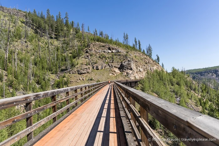 Bridge on the Myra Canyon trestle trail.