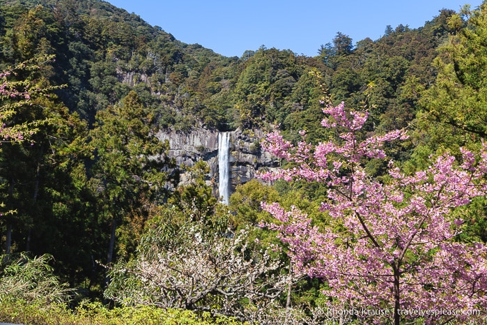 travelyesplease.com | Exploring Nachisan- A Sacred Mountain Site on the Kumano Kodo Pilgrimage