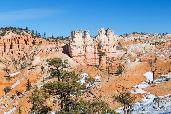 Group of hoodoos