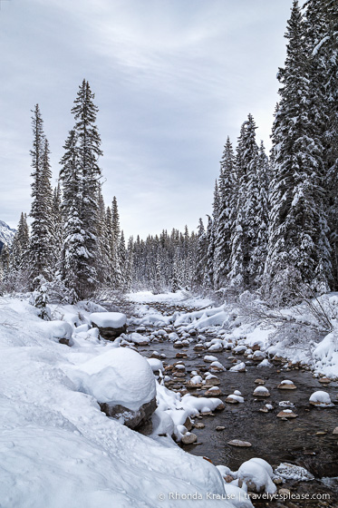 travelyesplease.com | Frosty Photos of Jasper National Park in Winter