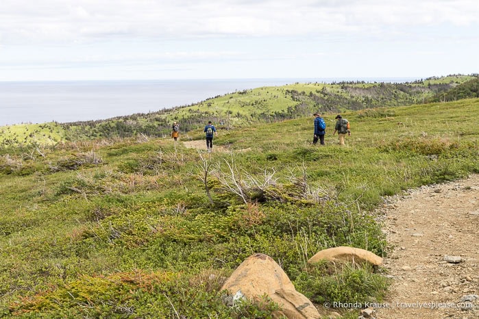 Hikers on Green Gardens Trail with hills and the Gulf of St. Lawrence in the background.
